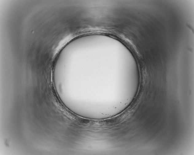 X0000102251365200808151807