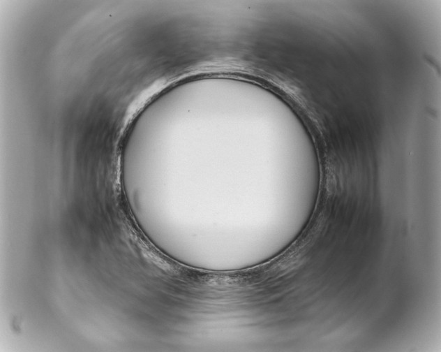 X0000102251366200808151807