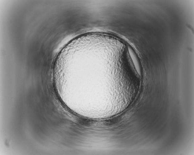 X0000102251367200808151807