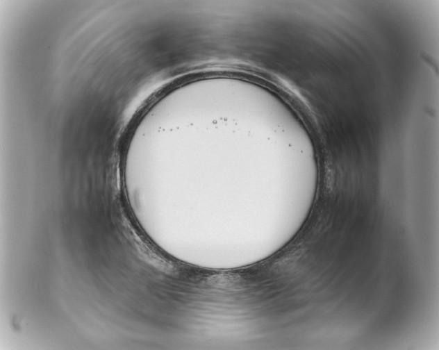 X0000102251368200808151807