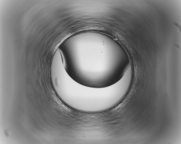 X0000102251369200808151807