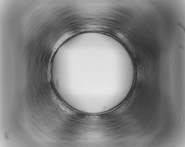 X0000102251370200808151807