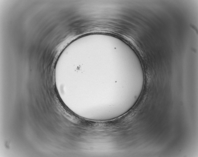 X0000102251371200808151807