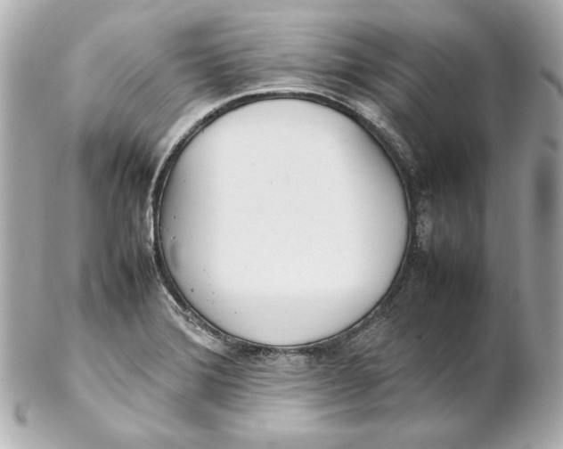 X0000102251372200808151807