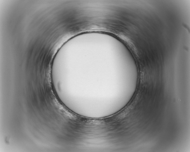 X0000102251374200808151807