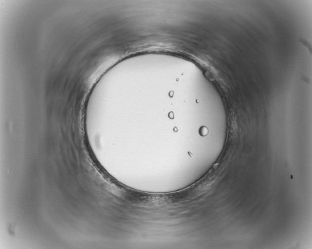 X0000102251375200808151807