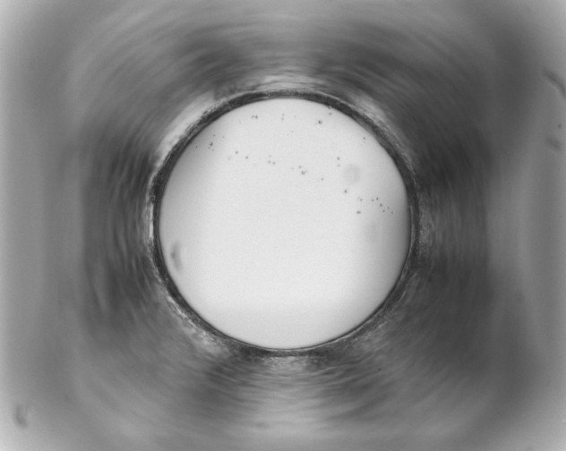 X0000102251376200808151807