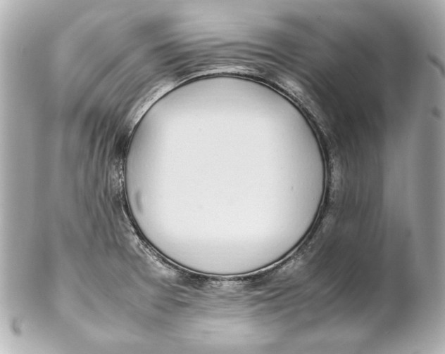 X0000102251377200808151807