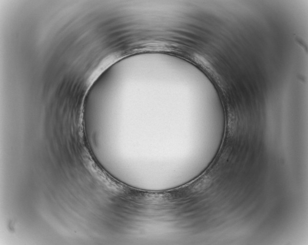 X0000102251378200808151807