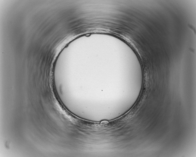 X0000102251379200808151807