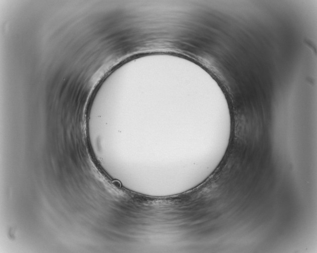 X0000102251380200808151807