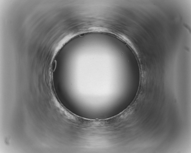 X0000102251381200808151807