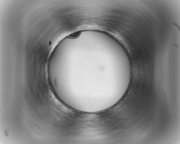 X0000102251382200808151807