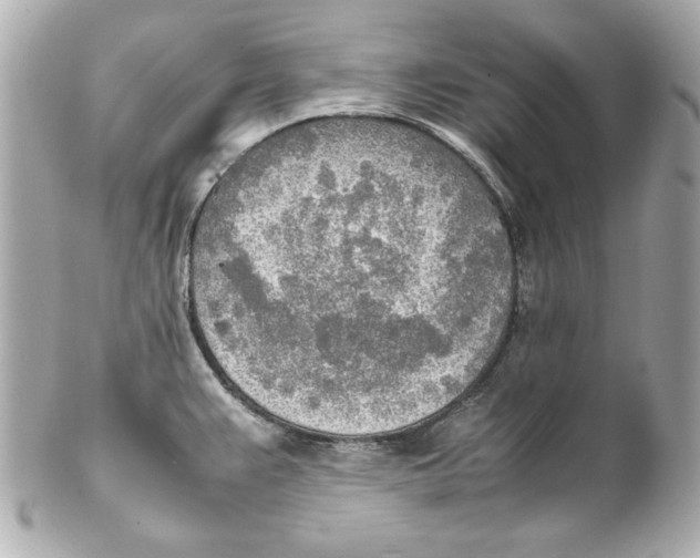 X0000102251383200808151807