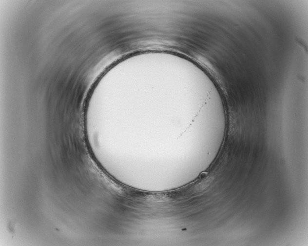 X0000102251384200808151807