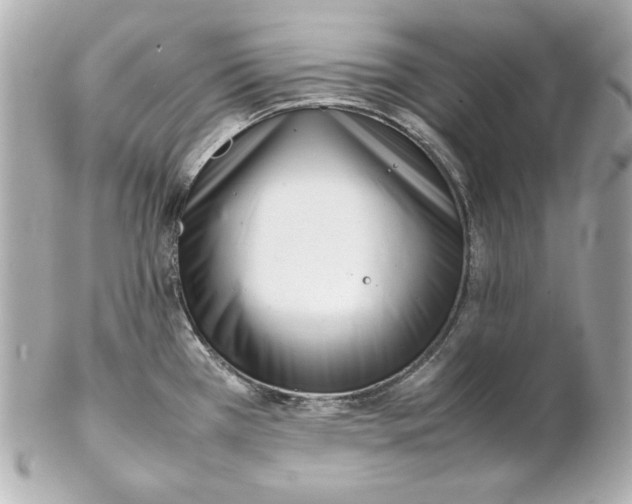 X0000102251385200808151807