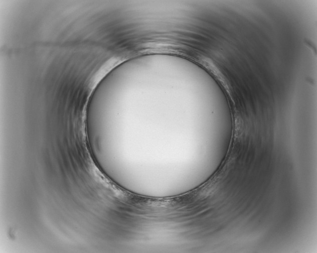 X0000102251386200808151807