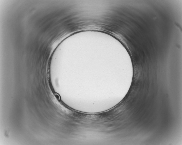 X0000102251387200808151807