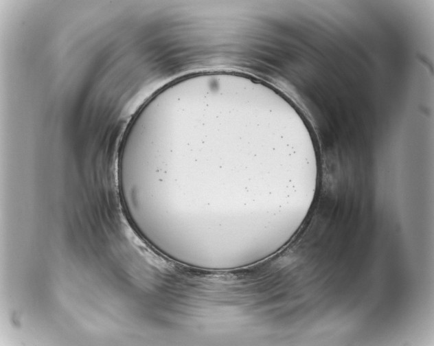 X0000102251388200808151807