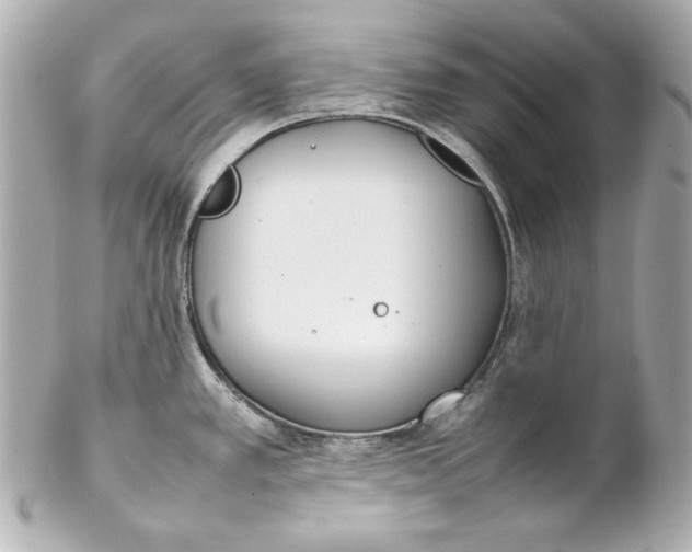 X0000102251389200808151807