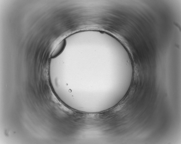 X0000102251390200808151807