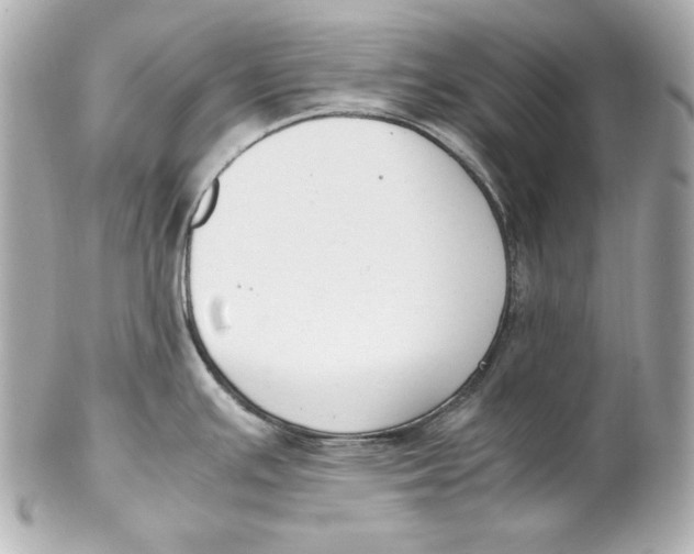 X0000102251391200808151807