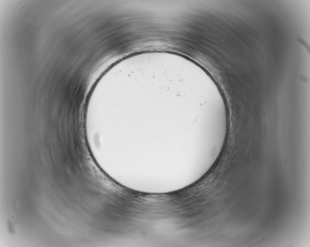 X0000102251392200808151807