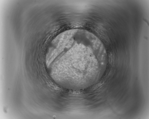 X0000102251393200808151806