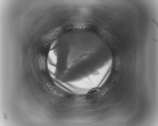 X0000102251394200808151806