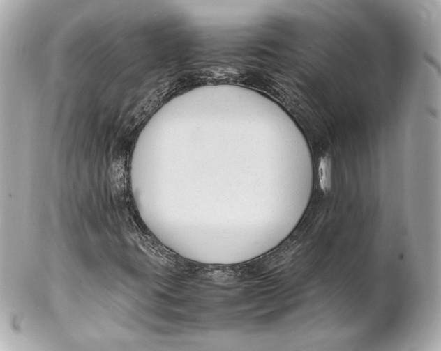 X0000102251395200808151806