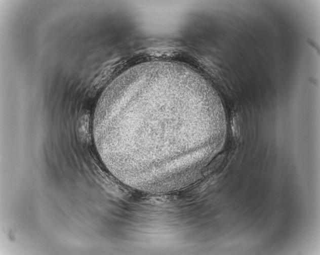 X0000102251396200808151806