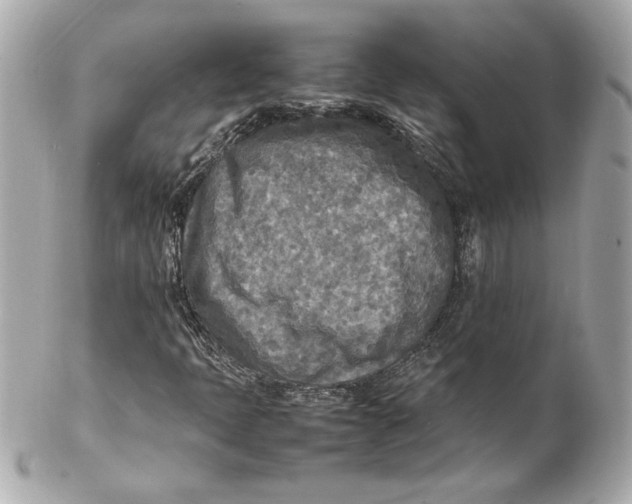 X0000102251397200808151806