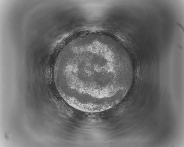 X0000102251398200808151806