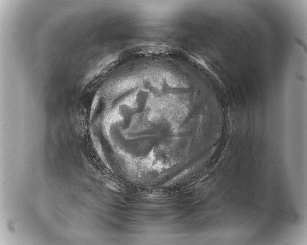 X0000102251399200808151806