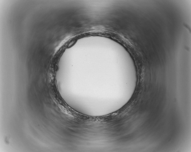 X0000102251400200808151806