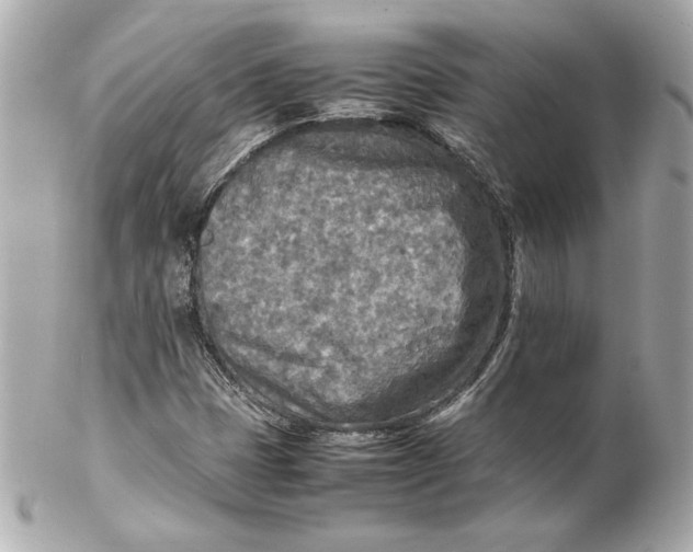 X0000102251401200808151806