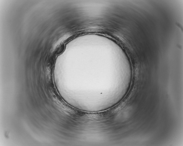 X0000102251402200808151806