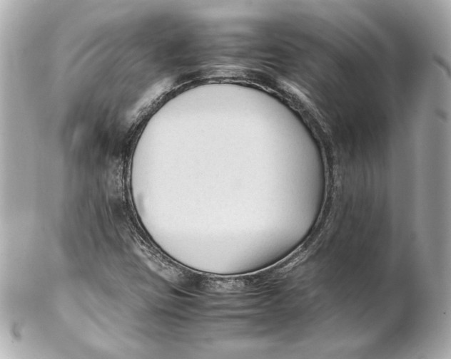 X0000102251403200808151806