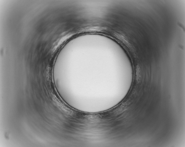 X0000102251404200808151806