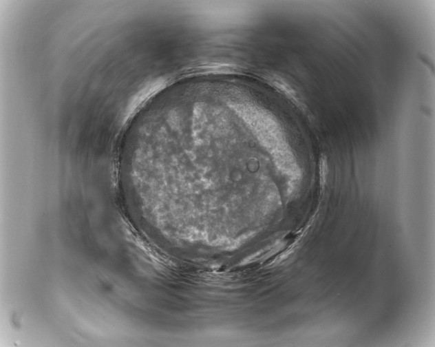 X0000102251405200808151806