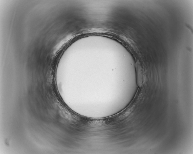 X0000102251406200808151806