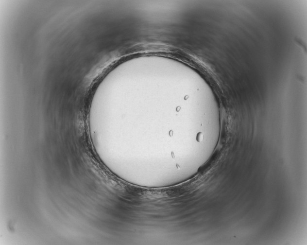 X0000102251407200808151806