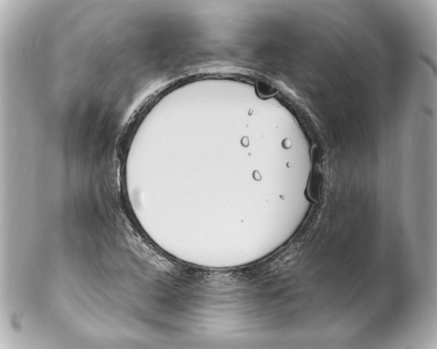 X0000102251408200808151806