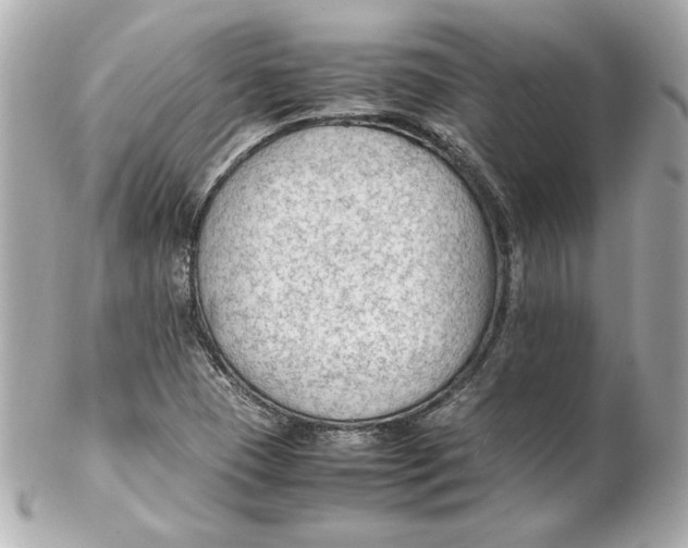 X0000102251409200808151806