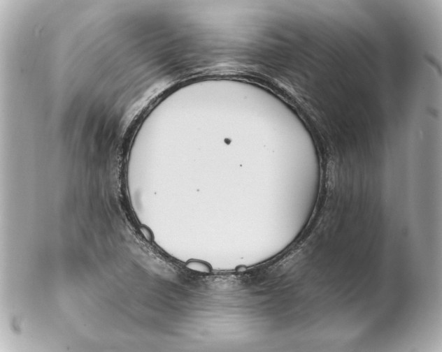 X0000102251410200808151806