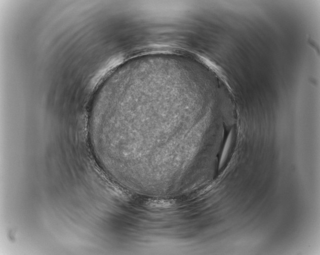 X0000102251411200808151806