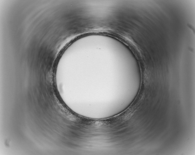 X0000102251412200808151806