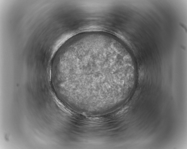 X0000102251413200808151806