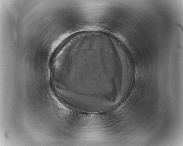 X0000102251414200808151806