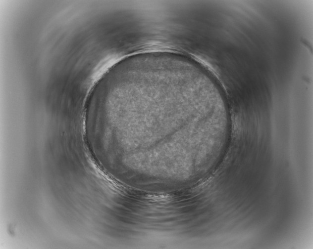 X0000102251415200808151806